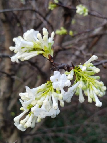 �������� ���� ����� ����. � �������� ������� ������� ������: ����