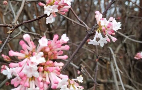 �������� ���� ����� ����. � �������� ������� ������� ������: ����