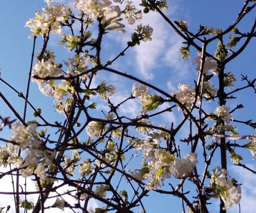 �������� ���� ����� ����. � �������� ������� ������� ������: ����