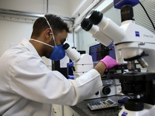 ��������� �� ������ �������� � �������� �������-����� COVID-19