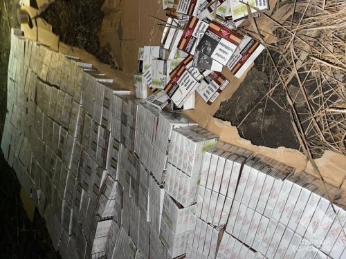 ����������� �������� ������� ���� 200 �������� �� ���������� ����������� �������