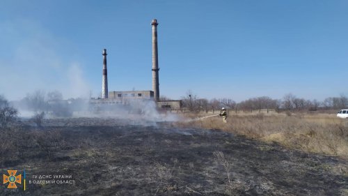 В Одесской области оштрафовали поджигателя сухой травы В Одесской области оштрафовали поджигателя сухой травы