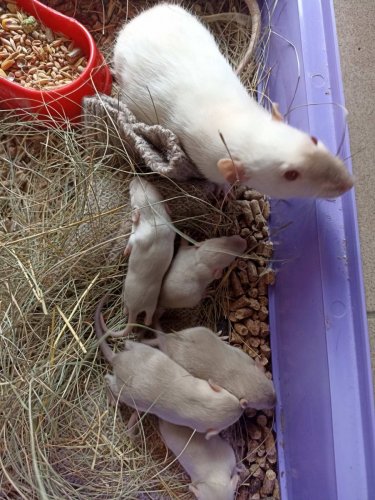 � ����� ���������� ��������� �������� - ���������� � ����������. ����