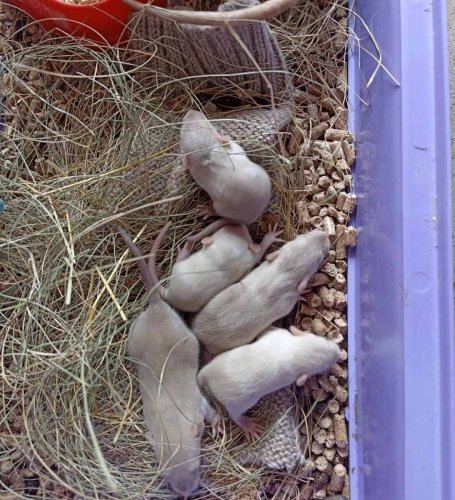 � ����� ���������� ��������� �������� - ���������� � ����������. ����