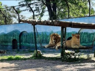 ���� �� ������������ �������� � ������ �������-�� ��������� ������� �����