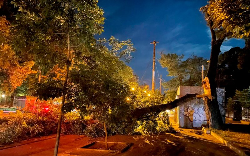 �� ����������� �������� ������ ����� �� ����������