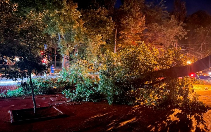 �� ����������� �������� ������ ����� �� ����������