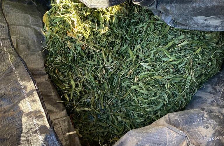 � �������� ������� ��������� �������������: ��� ��������� ��������� �� ���� ��������� ������