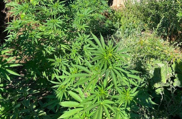 � �������� ������� ��������� �������������: ��� ��������� ��������� �� ���� ��������� ������