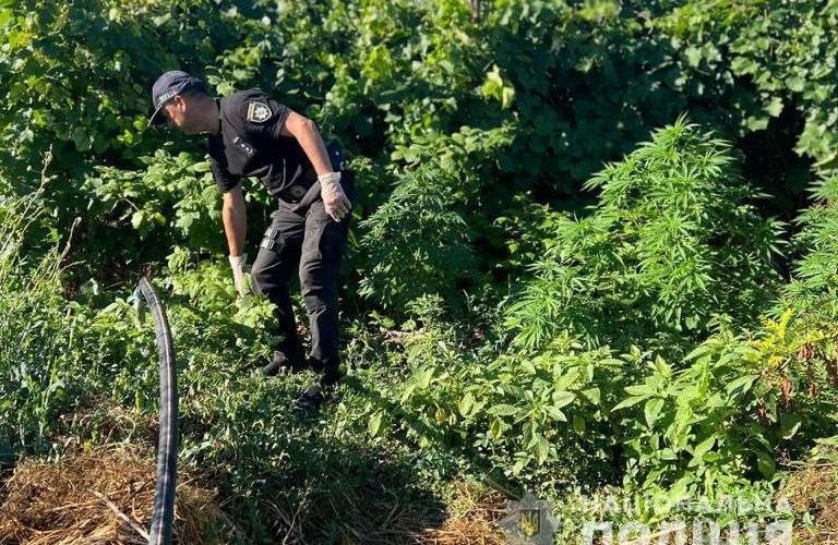 � �������� ������� ��������� �������������: ��� ��������� ��������� �� ���� ��������� ������