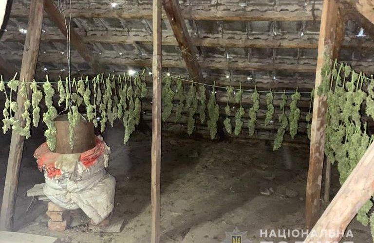 � �������� ������� ��������� �������������: ��� ��������� ��������� �� ���� ��������� ������