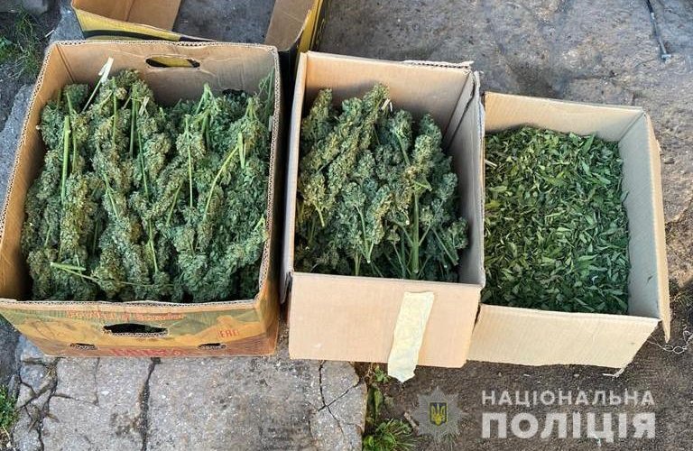 � �������� ������� ��������� �������������: ��� ��������� ��������� �� ���� ��������� ������