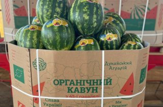 � �������� ������� ������ ���� ������������ �������