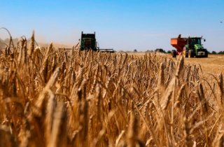 � �������� ������� ������� ������� �������� ���� ��������