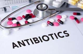 � ������� �������� ������ ����� ��������� ����������� ������ �� �������