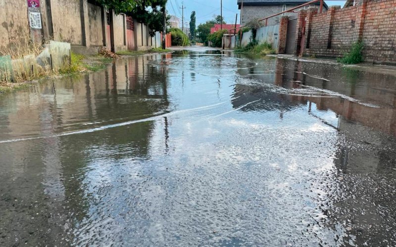 ������������� ��������� ����������� ������ ����� � ������.