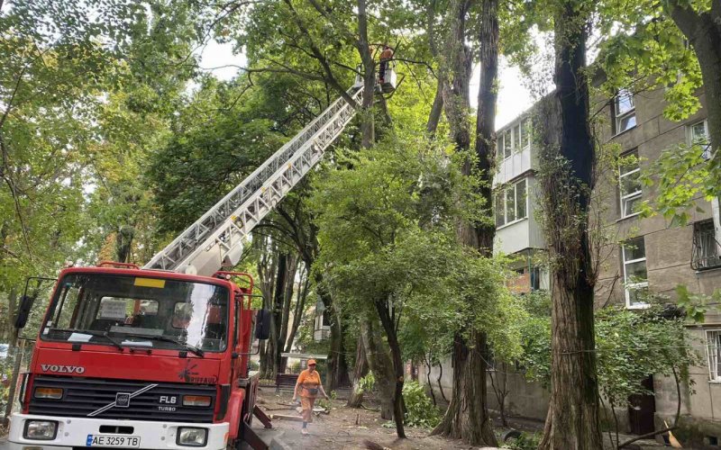 ������������� ��������� ����������� ������ ����� � ������.