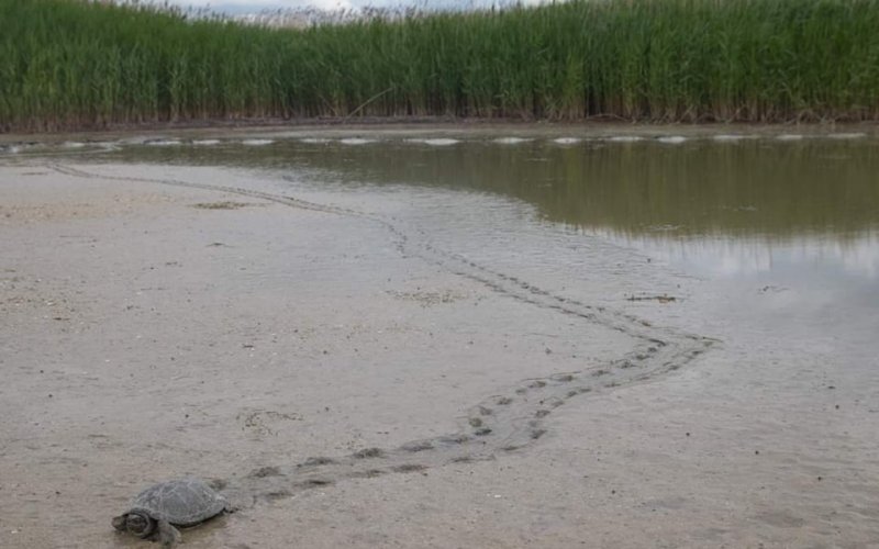 �� ��� �������� ������� ������� ������ ��� ��������