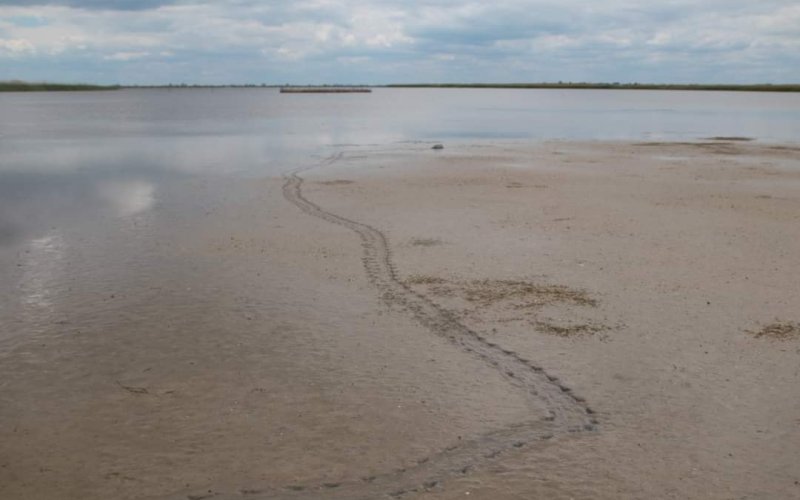 �� ��� �������� ������� ������� ������ ��� ��������