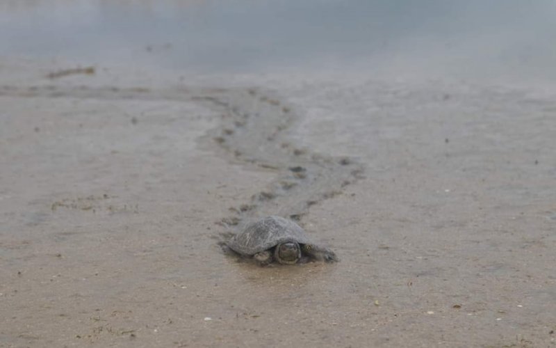 �� ��� �������� ������� ������� ������ ��� ��������