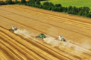 � �������� ������� ���������� ������� ��������