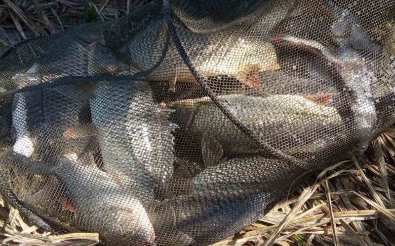 � ������������ ������ ��������� ������� ������ �� ����� ����� 300 ����� ������