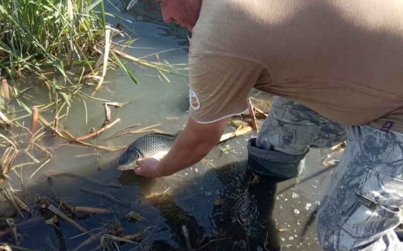 � ������������ ������ ��������� ������� ������ �� ����� ����� 300 ����� ������