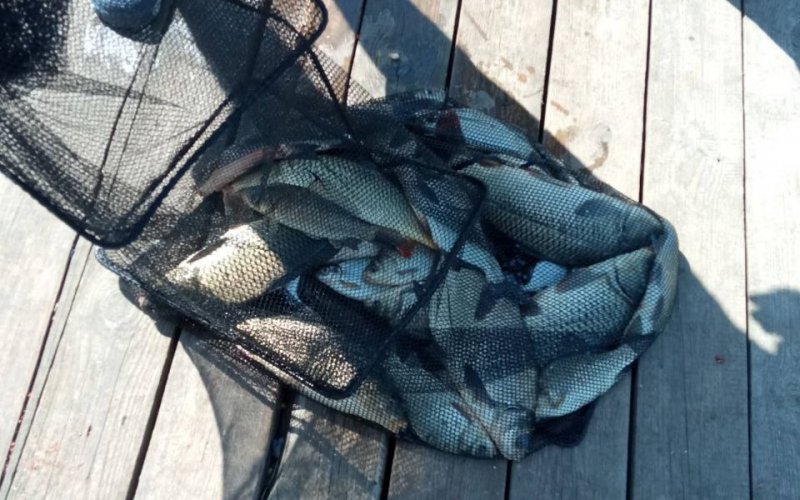 � ������������ ������ ��������� ������� ������ �� ����� ����� 300 ����� ������