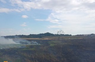 � �������� ����������� �������� �����