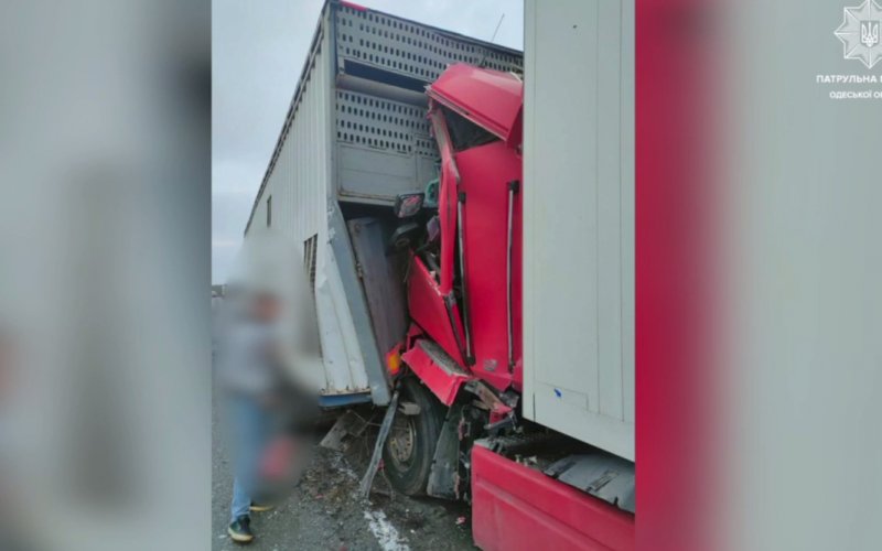 �� �������� ������ ����������� ��� ���������