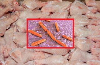 �� ��������� �������� ��������� ������ �������� �������� � ������������