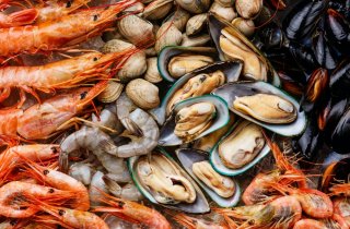 � ������ ����� ������� ������� ������������