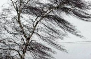 �� �������� � �������� ������� ��������� ��������� ��������������