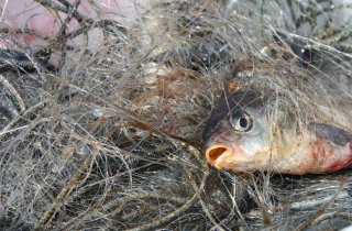 � ��������� �������� �������� ������� ��������� �������