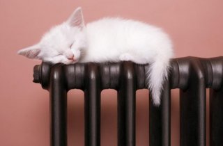 ��-�� ��������� ����� ��������� �������� �������� ��� ���������.