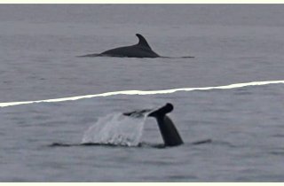 � ��������� �������� ������� ��������� ������ ��������.