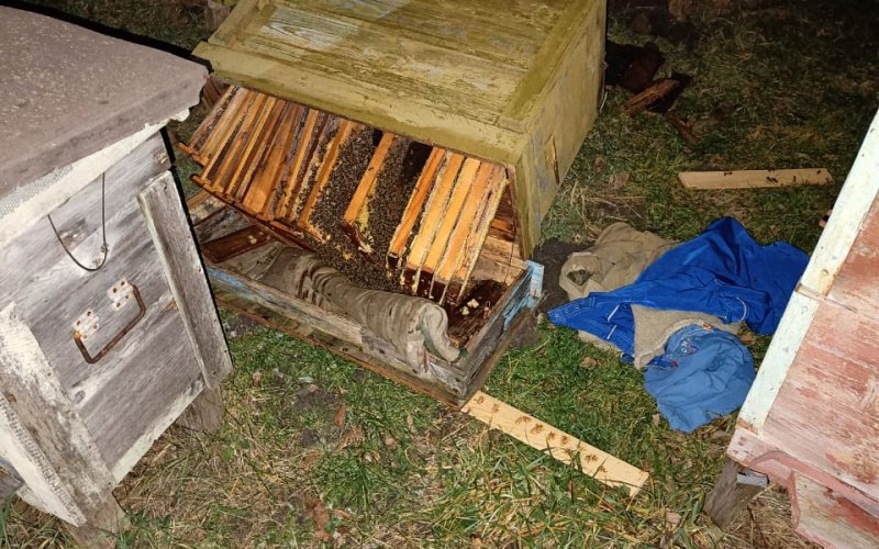 � �������� ������� ����� �������� ������������