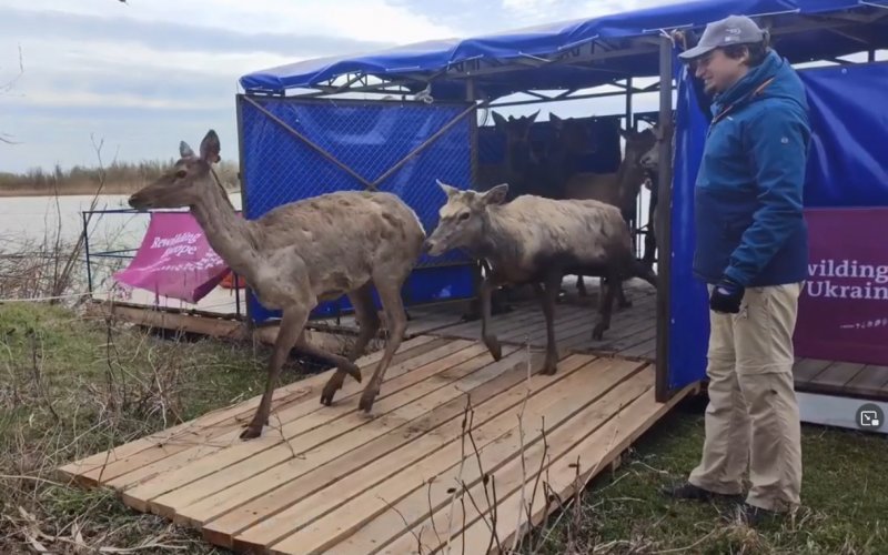 � ����������� �������� ������� ���������� ���� � �����