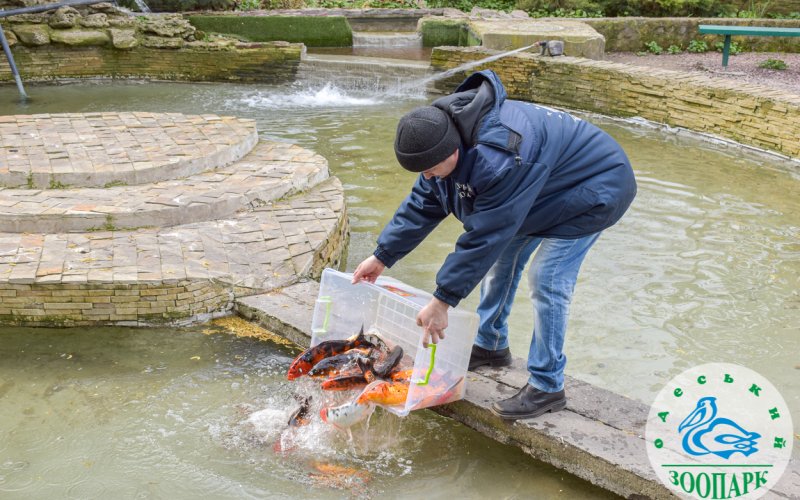 � ����������� ���� ��������� �������� ����� ������� ��������� ������