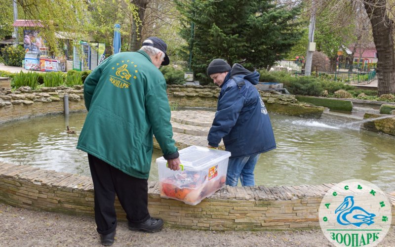 � ����������� ���� ��������� �������� ����� ������� ��������� ������