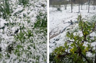 � �������� ������� ����� ���������� ����