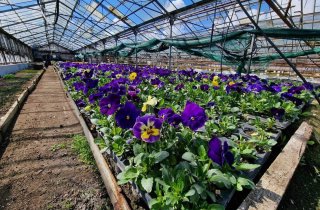 �������� ������������� ��������� ������ ���� ������ �� �������������� ������