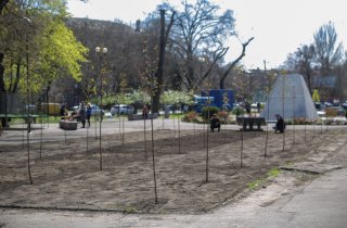 � ������������ ������ �������� ����� �����