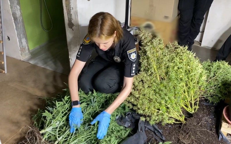 ������� ������� � �������� ��������� �������