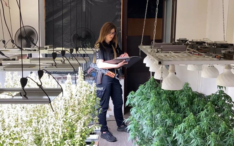 ������� ������� � �������� ��������� �������