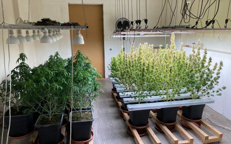 ������� ������� � �������� ��������� �������