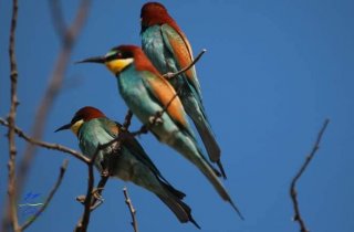 � ��������� ����� � �������� ������� ��������� ���������� ����� � ����� ���������