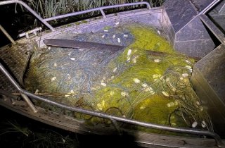 �� ������ � �������� ������� ������ ������� ������ ������ ������������� �����