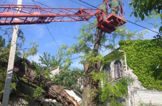 ����� �������� �������� � ������ ���� ��������