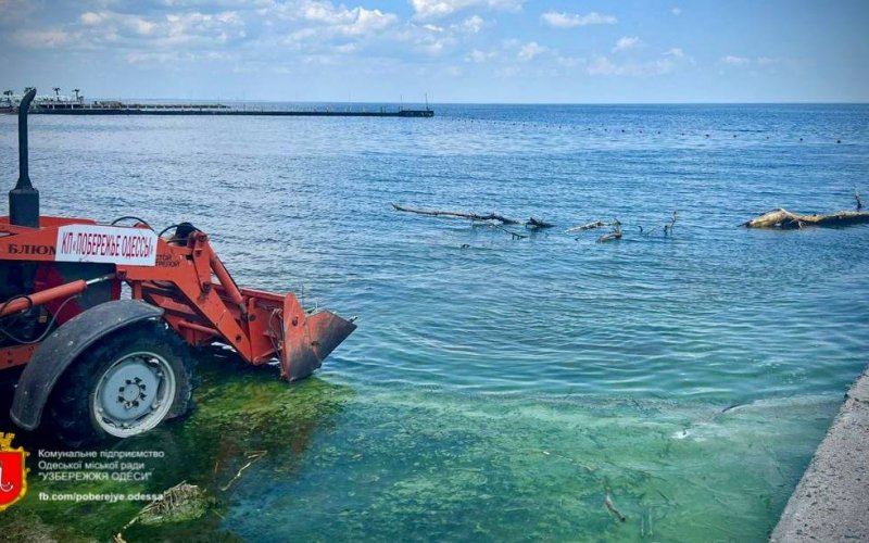 ��������� ������ �� ��� ��� ������� � ������